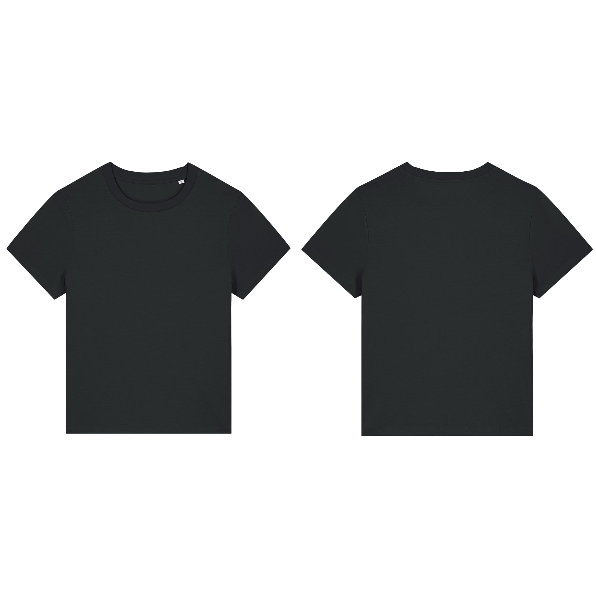Flamingo Fitted T-shirt