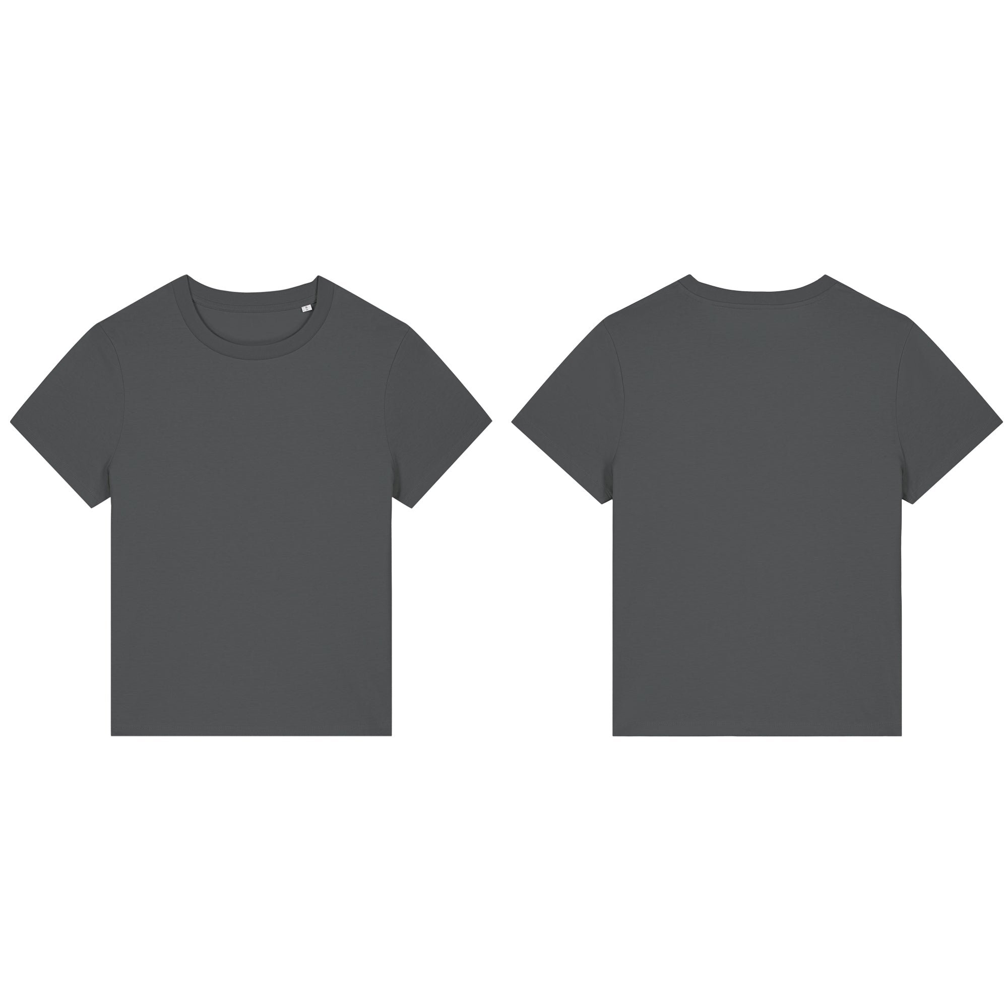 Flamingo Fitted T-shirt