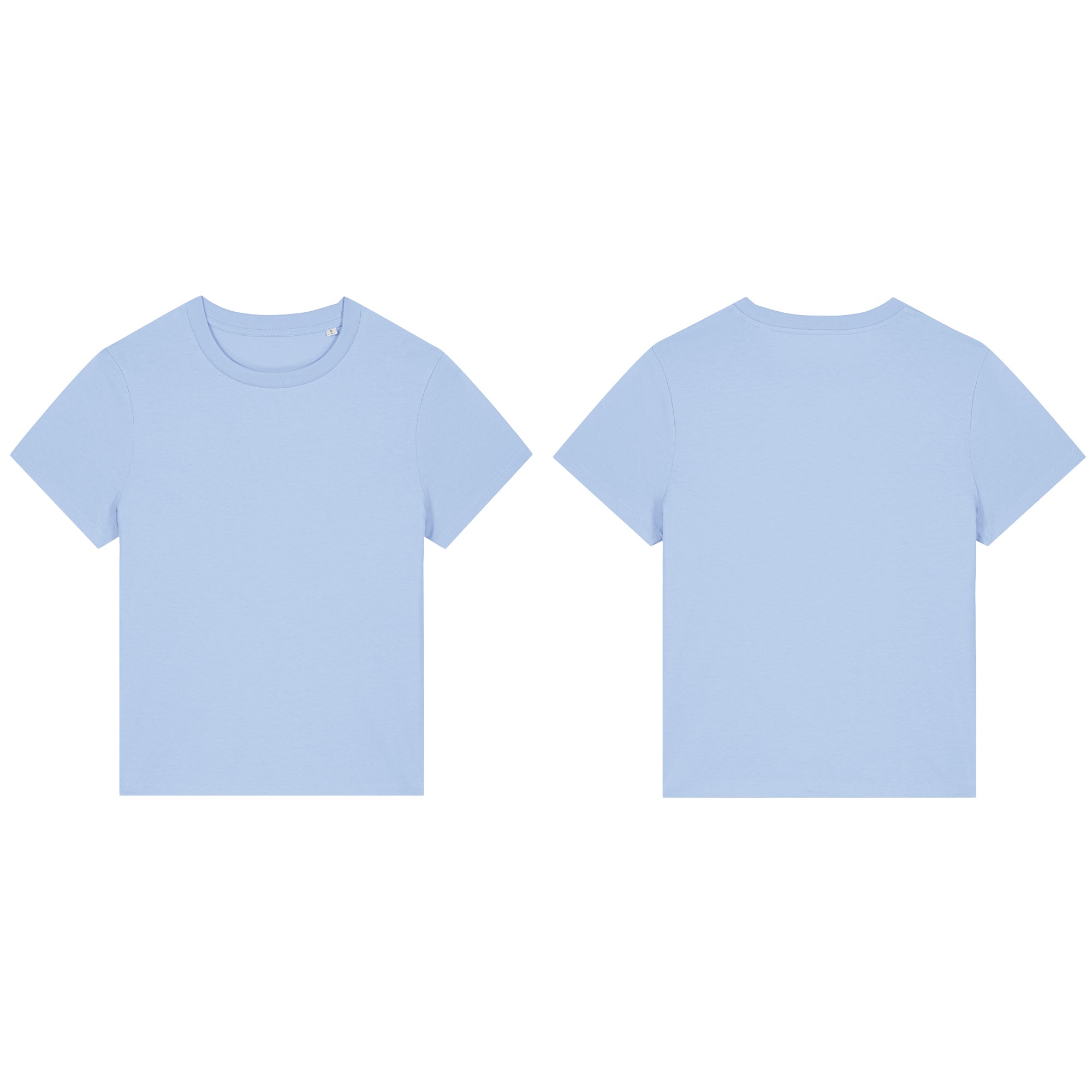 Flamingo Fitted T-shirt