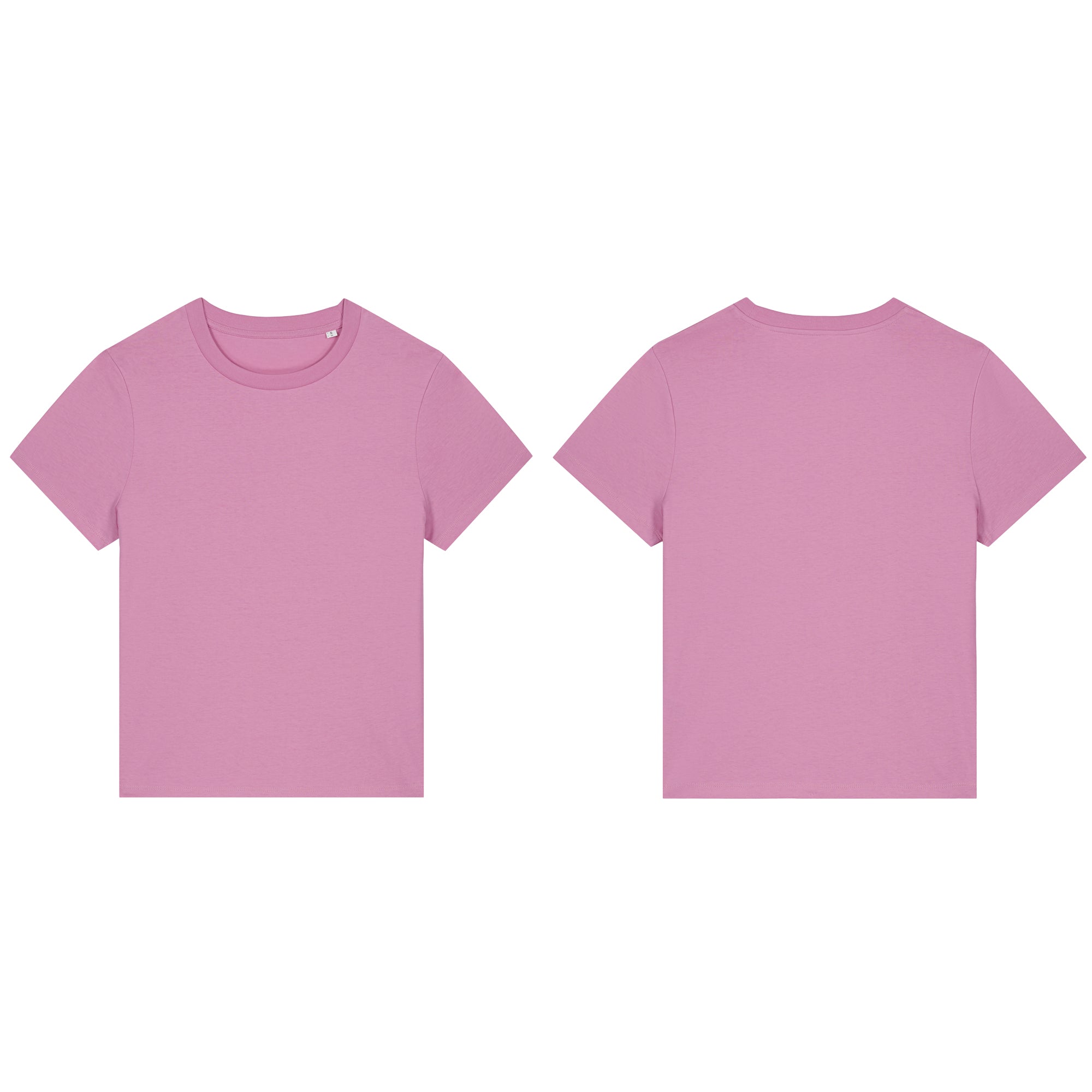 Flamingo Fitted T-shirt