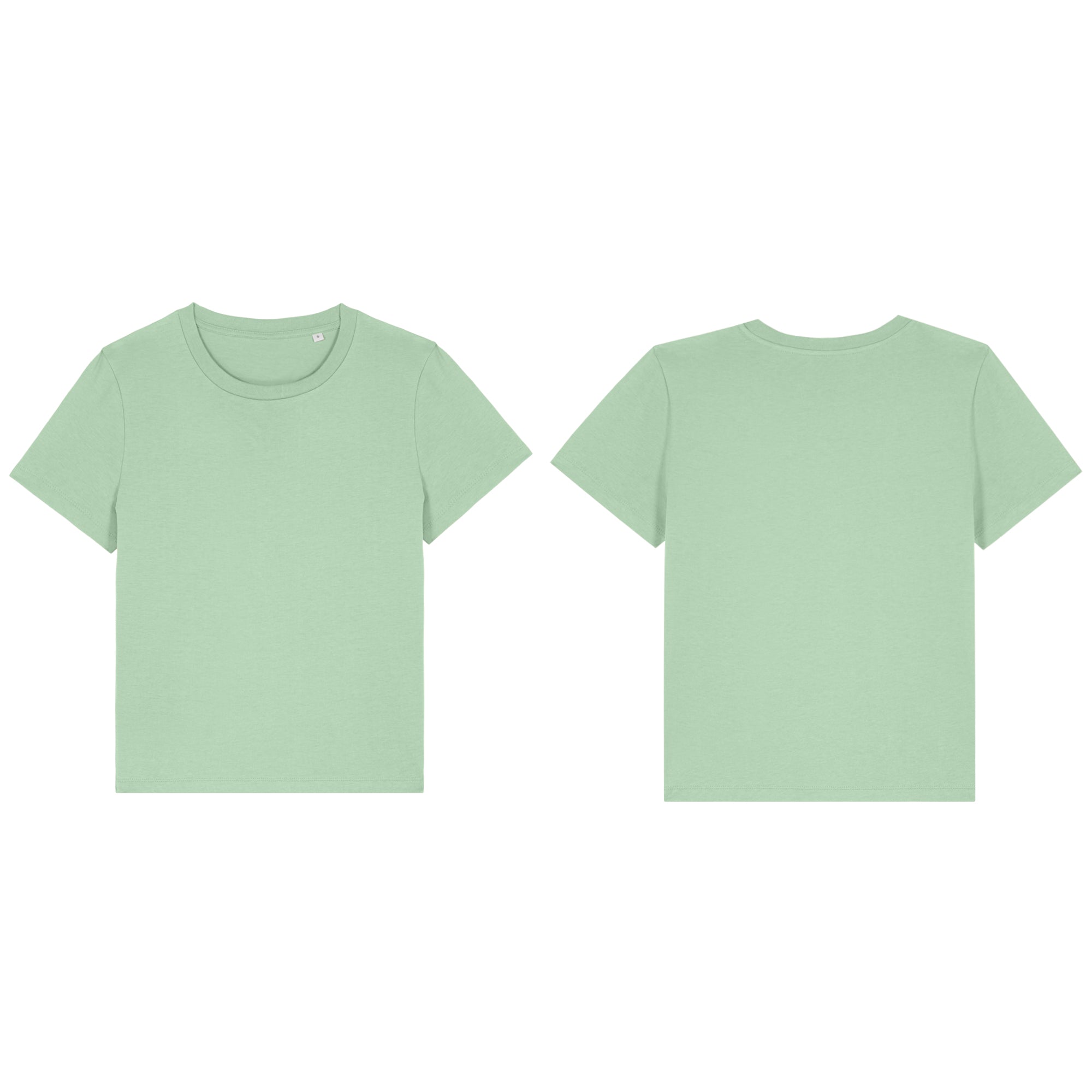 Flamingo Fitted T-shirt