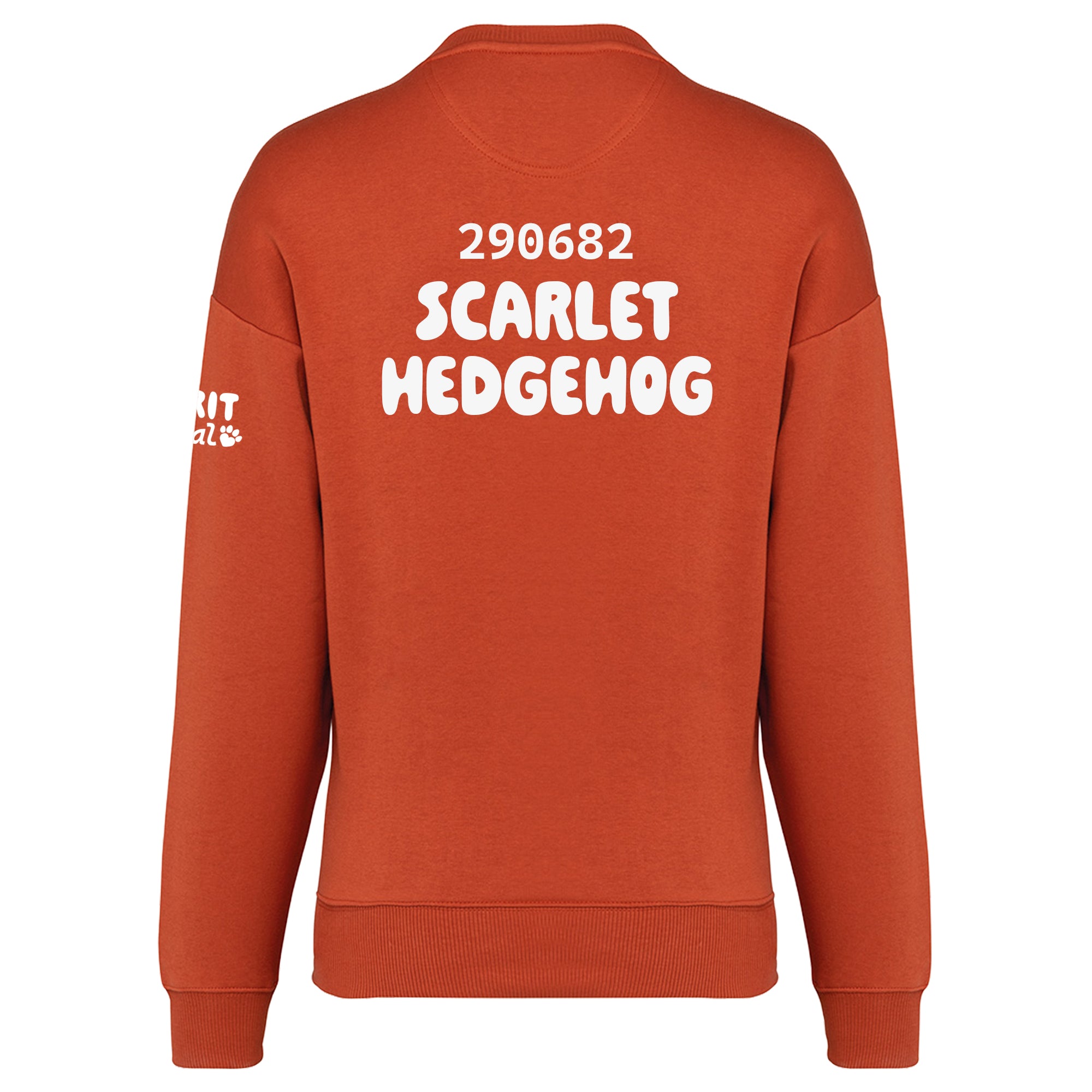 Sloth Oversized Sweatshirt